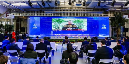 京津冀運河文化旅游城市合作組織 以文化藝術交流為紐帶，共繪協(xié)同發(fā)展新畫卷